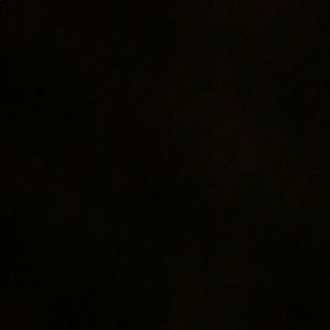 Meet your Posher, Samuel